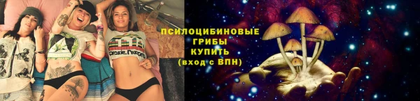 бошки Надым