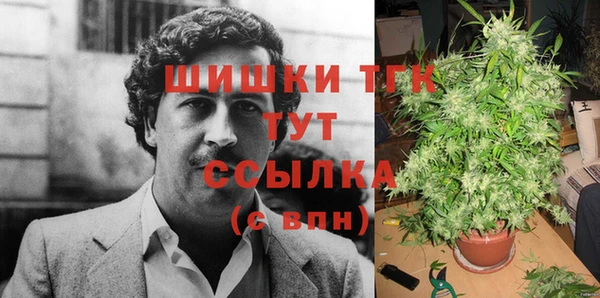 индика Новодвинск