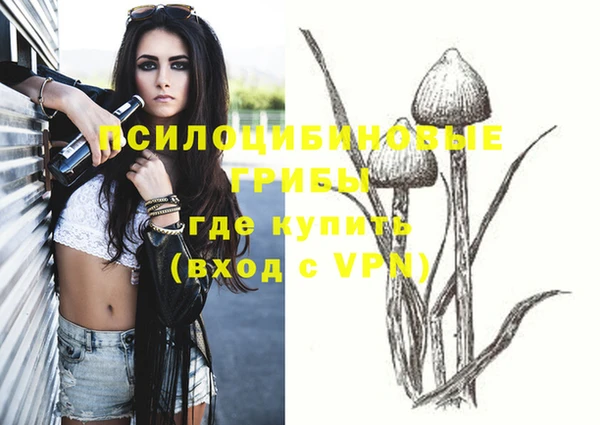 бошки Надым