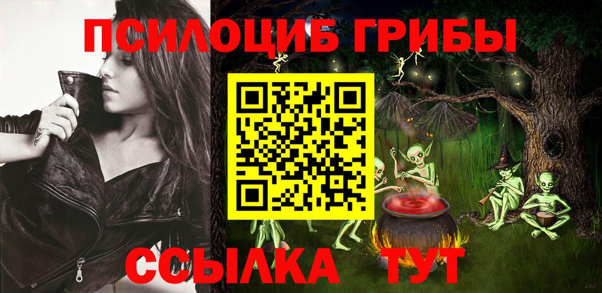 Псилоцибиновые грибы прущие грибы  Псилоцибиновые грибы Psilocybine cubensis  Назрань 